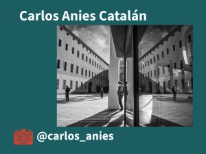 Carlos Anies Catalán