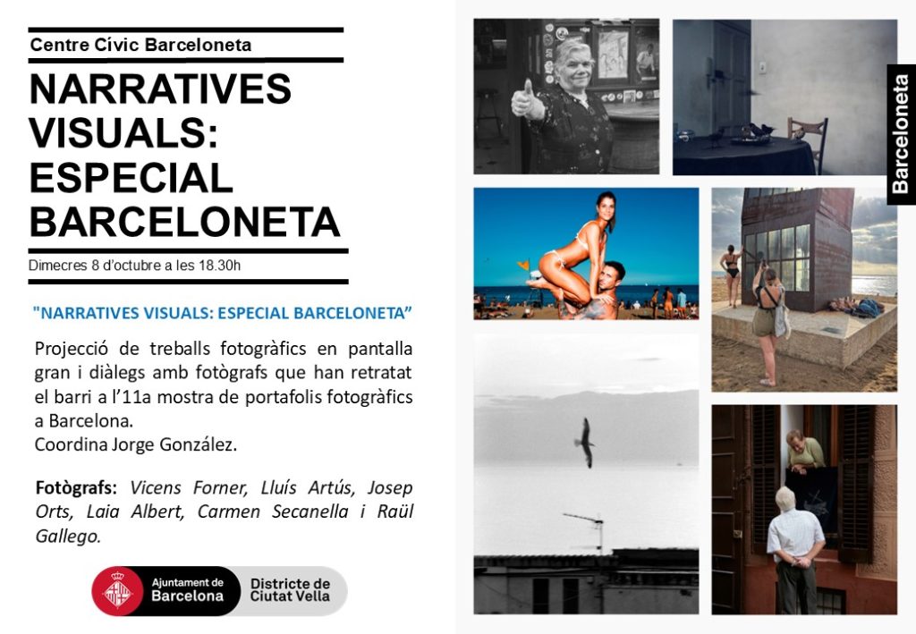 11 muestra de portfolios