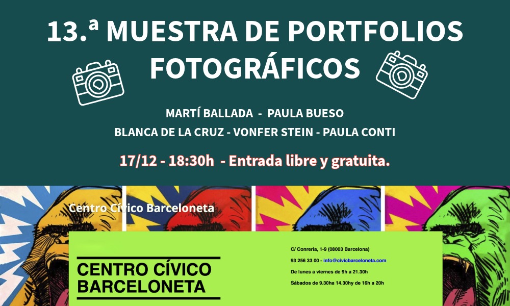 13 muestra de portfolios