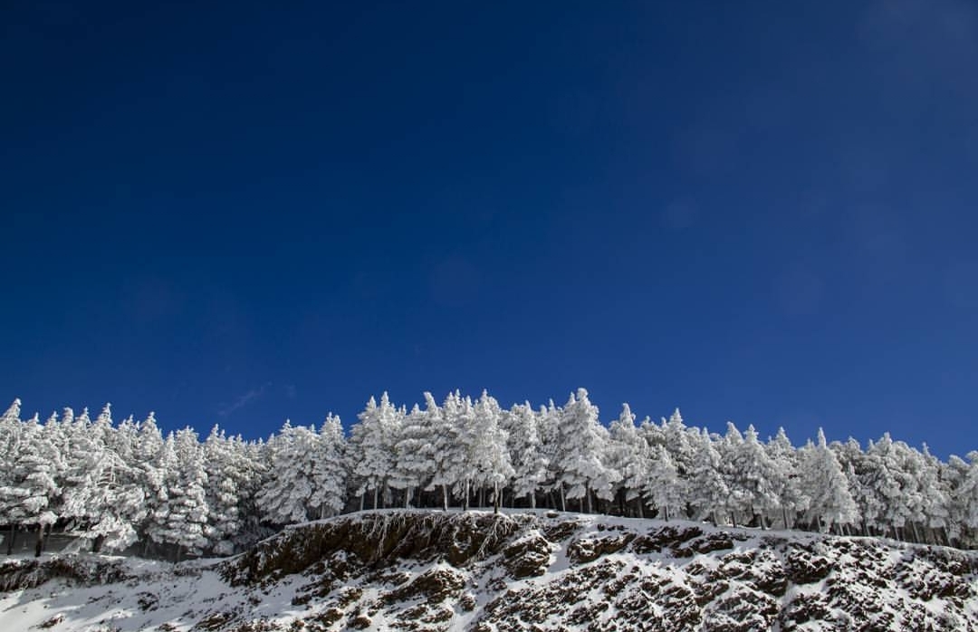 Yamila Paterno Basile